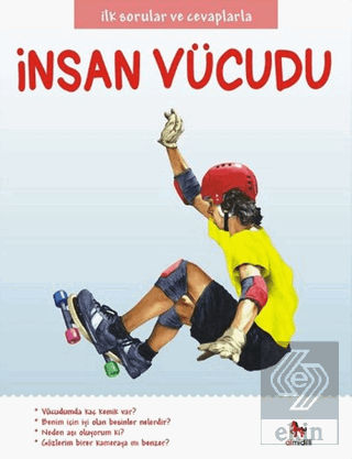 İnsan Vücudu