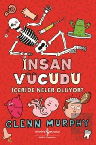 İnsan Vücudu