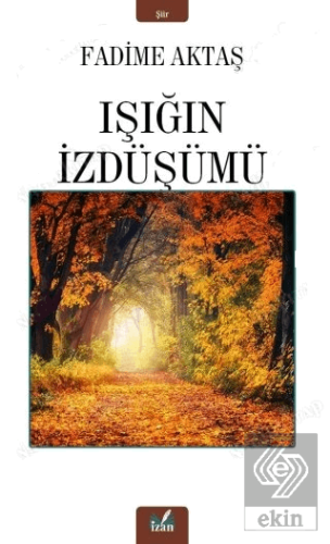 Işığın İzdüşümü