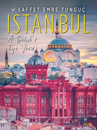 Istanbul A Bird's Eye View