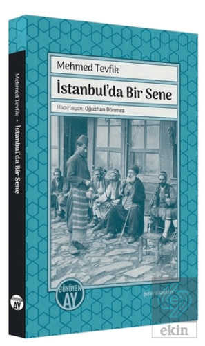 İstanbul'da Bir Sene