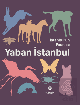 İstanbul'un Faunası Yaban İstanbul