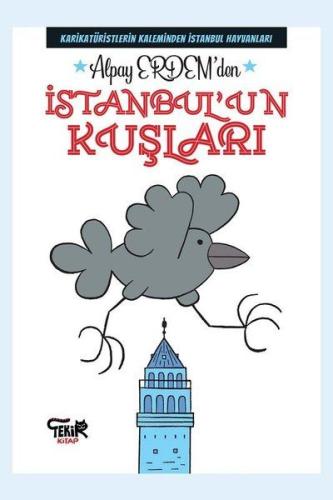 İstanbul'un Kuşları