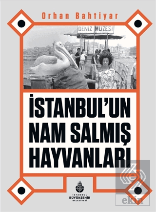 İstanbul'un Nam Salmış Hayvanları