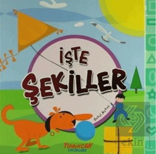 İşte Şekiller