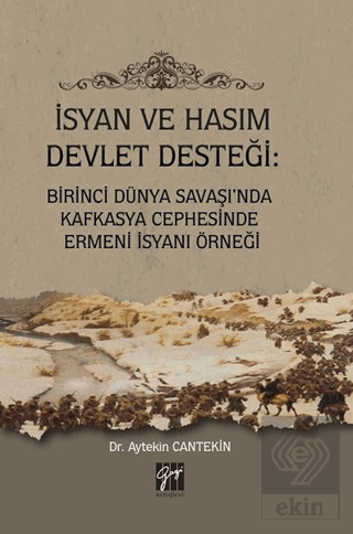 İsyan ve Hasım Devlet Desteği: Birinci Dünya Savaş