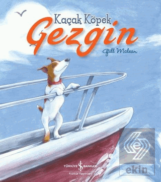 Kaçak Köpek Gezgin