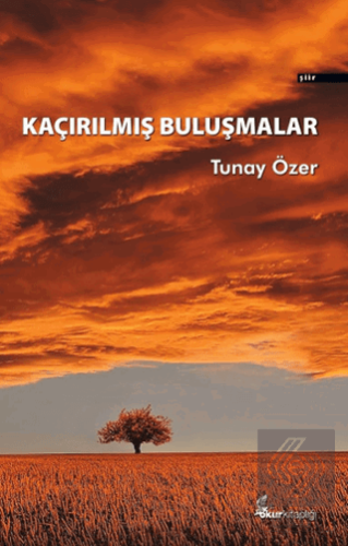 Kaçırılmış Buluşmalar