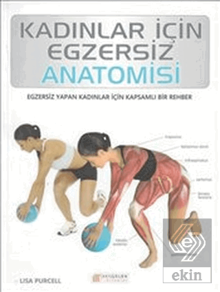 Kadınlar İçin Egzersiz Anatomisi