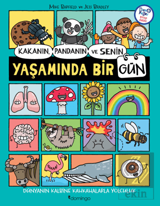 Kakanın, Pandanın ve Senin Yaşamında Bir Gün