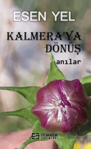 Kalmera'ya Dönüş