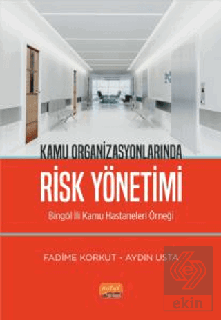 Kamu Organizasyonlarında Risk Yönetimi