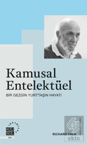 Kamusal Entelektüel