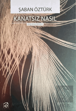 Kanatsız Nasıl