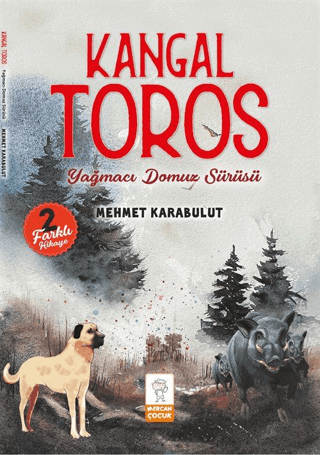 Kangal Toros - Yağmacı Domuz Sürüsü