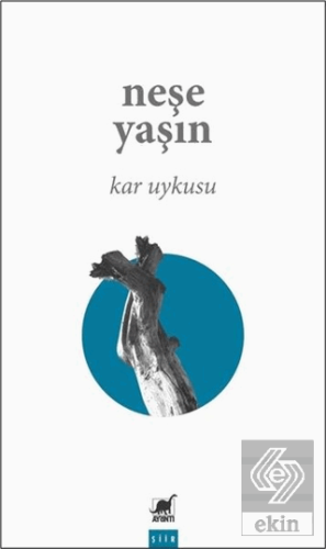 Kar Uykusu