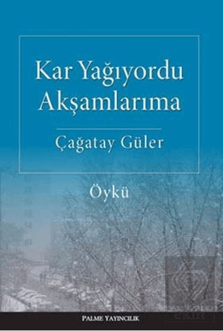 Kar Yağıyordu Akşamlarıma