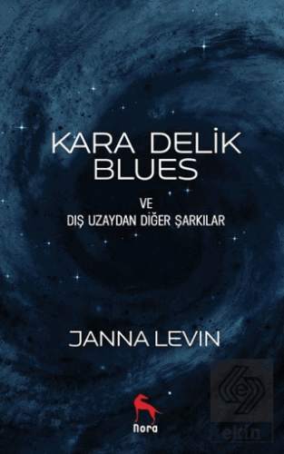 Kara Delik Blues ve Dış Uzaydan Diğer Şarkılar