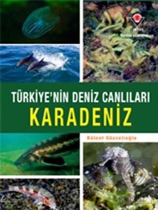 Karadeniz - Türkiye'nin Deniz Canlıları