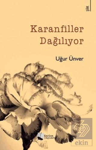 Karanfiller Dağılıyor