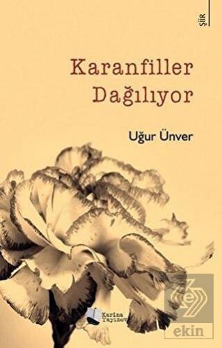 Karanfiller Dağılıyor