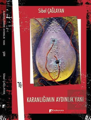 Karanlığımın Aydınlık Yanı