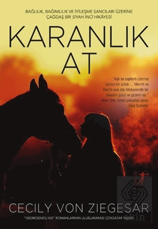 Karanlık At