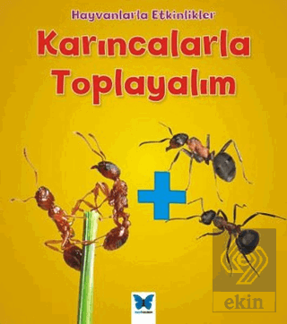 Karıncalarla Toplayalım