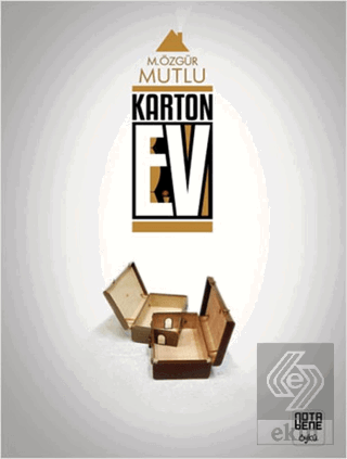 Karton Ev