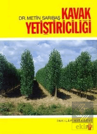 Kavak Yetiştiriciliği