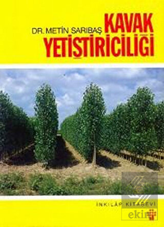 Kavak Yetiştiriciliği