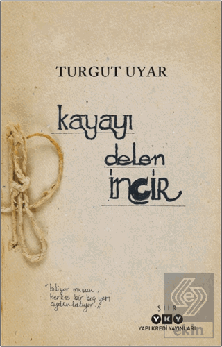 Kayayı Delen İncir