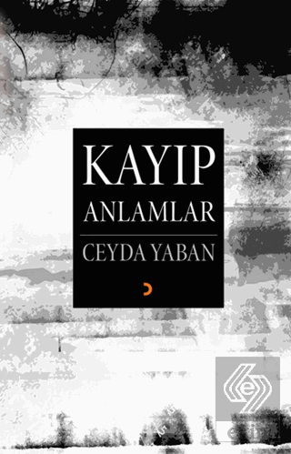 Kayıp Anlamlar