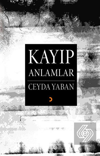 Kayıp Anlamlar