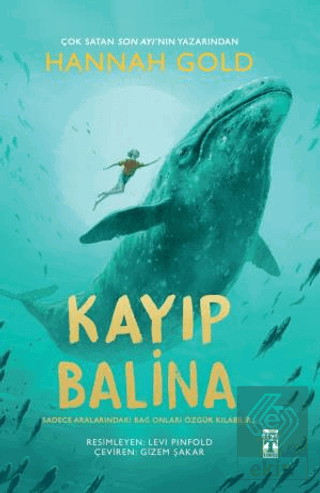 Kayıp Balina