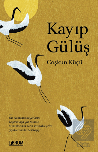 Kayıp Gülüş