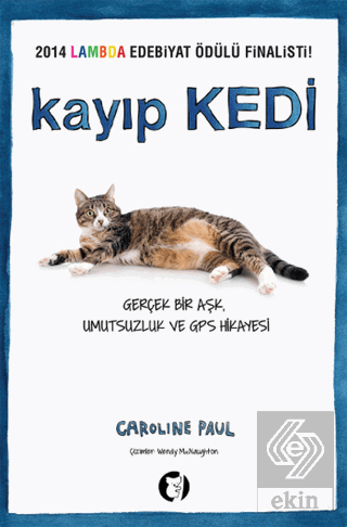 Kayıp Kedi