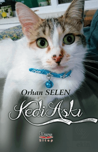 Kedi Aşkı