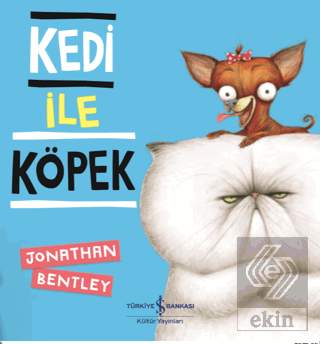 Kedi İle Köpek