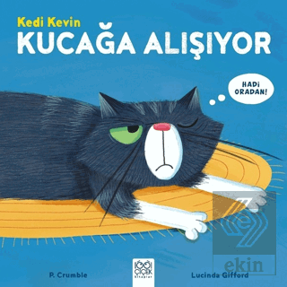 Kedi Kevin Kucağa Alışıyor