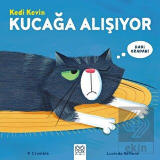 Kedi Kevin Kucağa Alışıyor