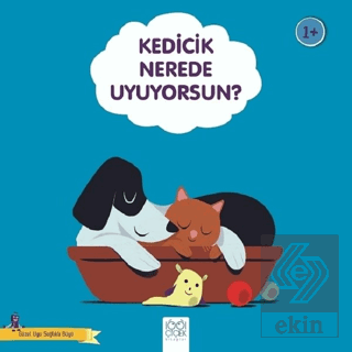 Kedicik Nerede Uyuyorsun? - Güzel Uyu Sağlıklı Büy