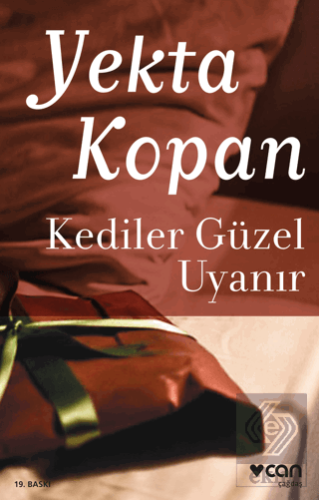 Kediler Güzel Uyanır