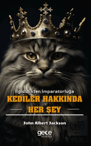 Kediler Hakkında Her Şey