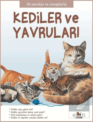 Kediler ve Yavruları - İlk Sorular ve Cevaplarla