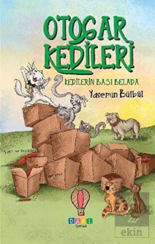 Kedilerin Başı Belada - Otogar Kedileri 2