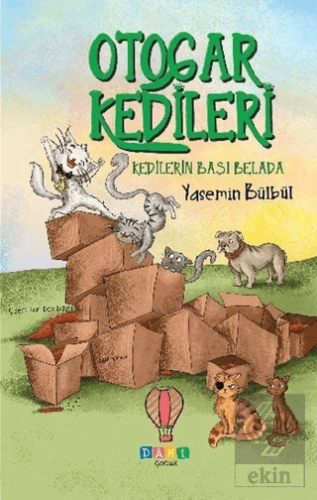 Kedilerin Başı Belada - Otogar Kedileri 2