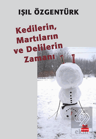 Kedilerin, Martıların ve Delilerin Zamanı