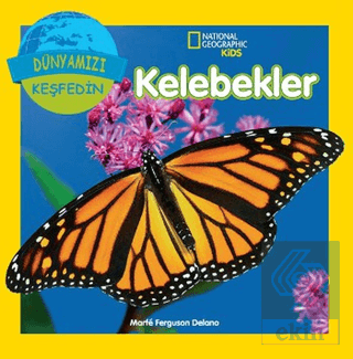 Kelebekler