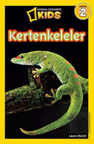 Kertenkeleler